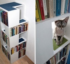 CatCase – шкаф для книг и котов 