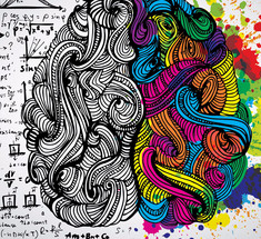 Нейропластичность: Мозг отражает наше окружение, наши решения, эмоции и стиль жизни