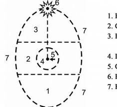 Психосинтез по Ассаджиоли: теория личности