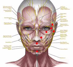 Эти 8 точкек на лице расскажут о здоровье  внутренних органов 