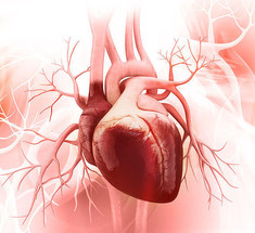 Кардиомиопатия: 5 советов, как предотвратить синдром разбитого сердца