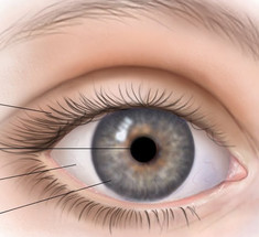 Надавливание на глаза: техника лечения при глаукоме, катаракте и близорукости