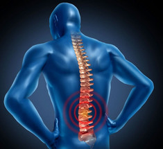 Мифы об остеохондрозе: Что необходимо знать, если болит спина 