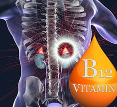 Витамин В12: Здоровая нервная система, надпочечники, метаболизм