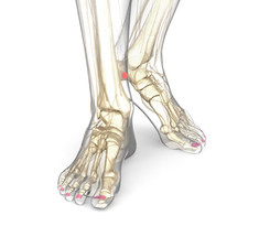 Как снять тяжесть в ногах: Фиторецепты для усталых ног