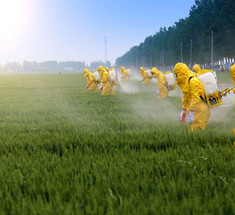 ГМО и глифосат разрушительно влияют на биологию почвы