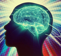 3 простых правила для эффективной работы мозга от нейрохирурга из Кремниевой долины