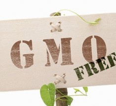 В России разрешили выращивать ГМО