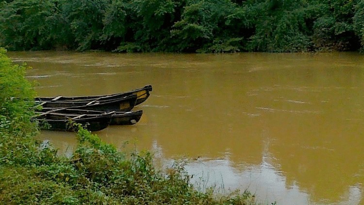 Индийский учитель каждый день добирается до учеников вплавь по 12км