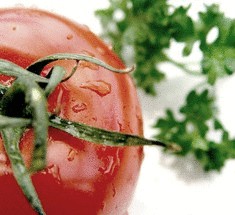 Целебные свойства овощей для Вашего организма