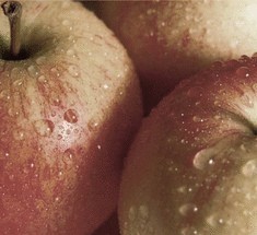 Целебные свойства, которыми обладают яблоки