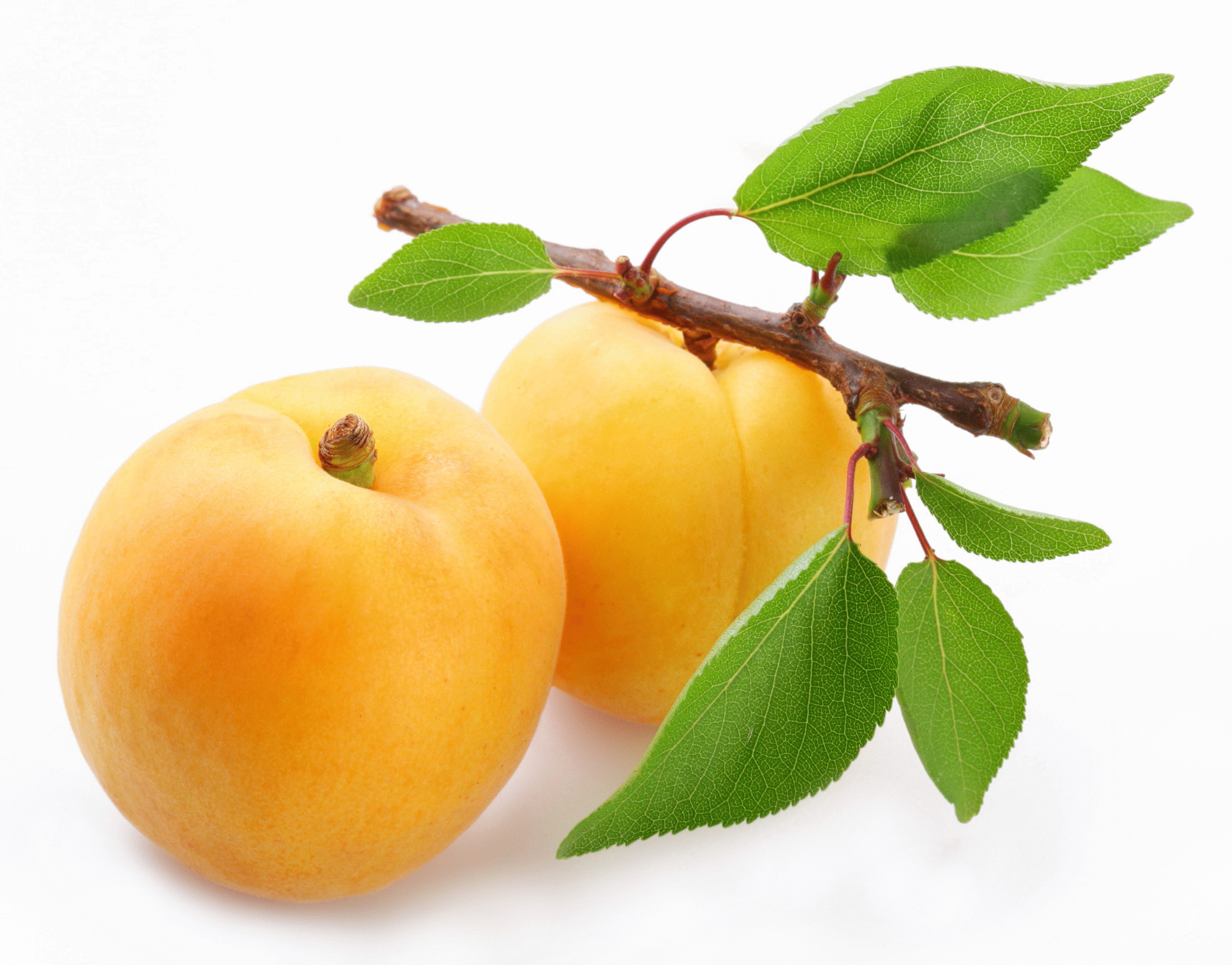 Неоценимая польза абрикос для Вашего сердца