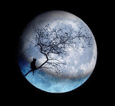 Сегодня можно будет наблюдать редкую " голубую Луну" 