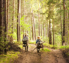 У дороги чибис