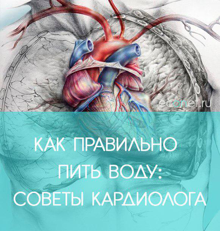 Как укрепить сердце советы кардиолога. Рекомендации кардиолога. Советы кардиолога как правильно пить воду. Полезные советы кардиолога. Кардиолог и вода.