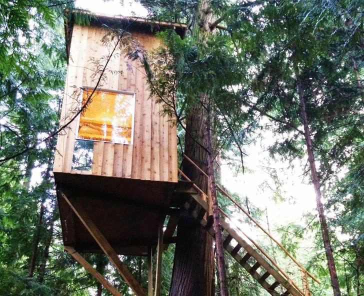 Raven Loft — маленький дом на дереве в Канаде