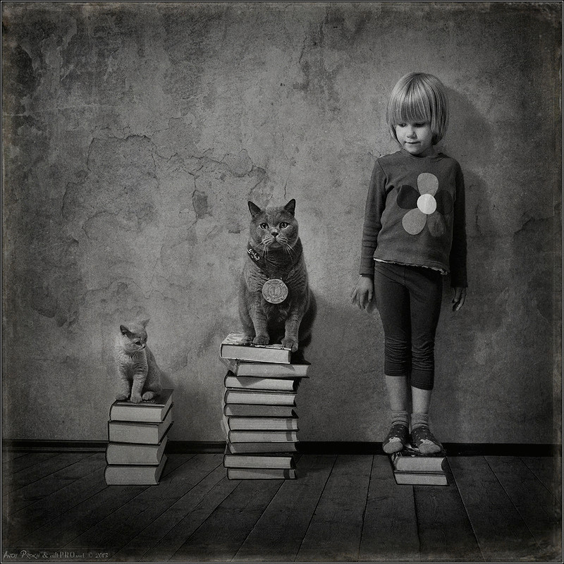 История дружбы девочки и кошки в  фотопроекте Andy Prokh 