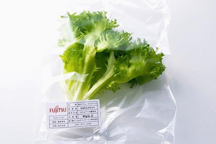 Fujitsu выращивает высокотехнологичный салат в Фукусиме