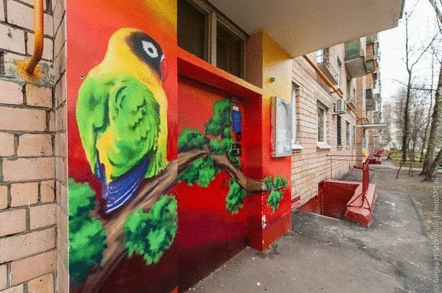 20 лучших граффити умело сочетаемых с природой
