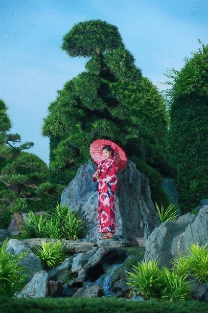 Хо Ши Мин Сити — японский сад во Вьетнаме