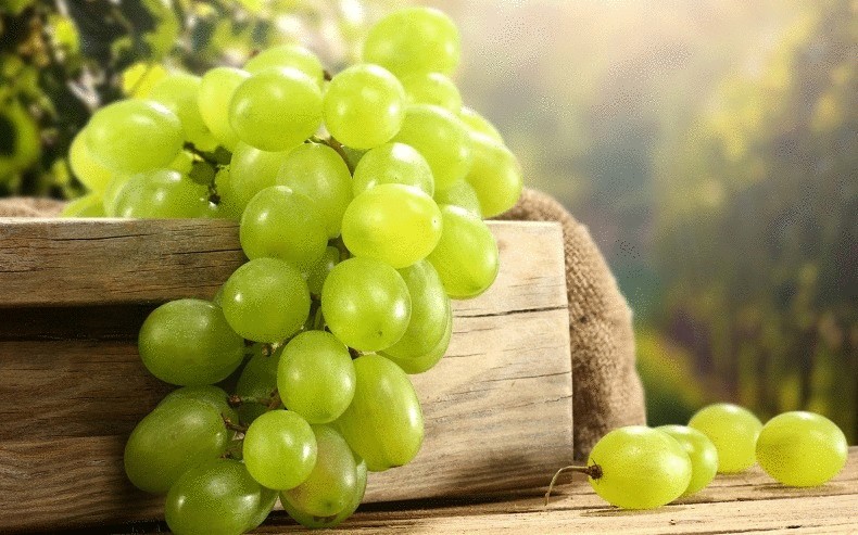Интересный способ выращивания винограда