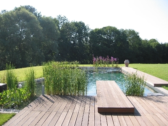   Пруд-купальня в саду: советы по созданию