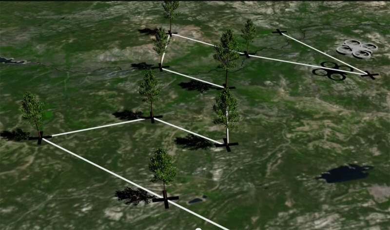 Стартап собирается за год посадить один миллиард деревьев с помощью дронов