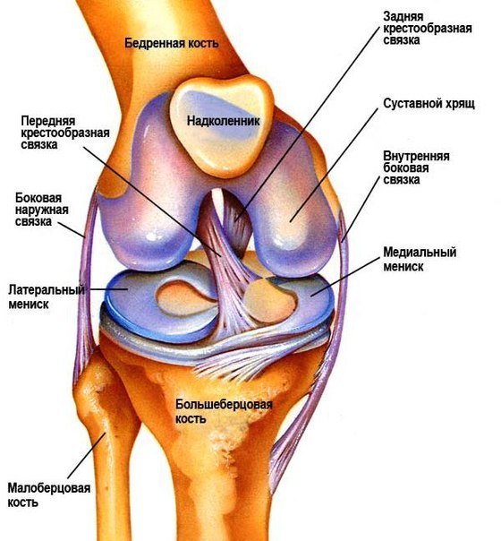 ПОЛЕЗНАЯ информация: травмы коленного сустава— народные методы лечения