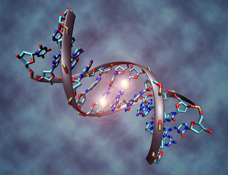 Грегг Брейден: молекула ДНК может исцелиться при помощи ЧУВСТВ человека