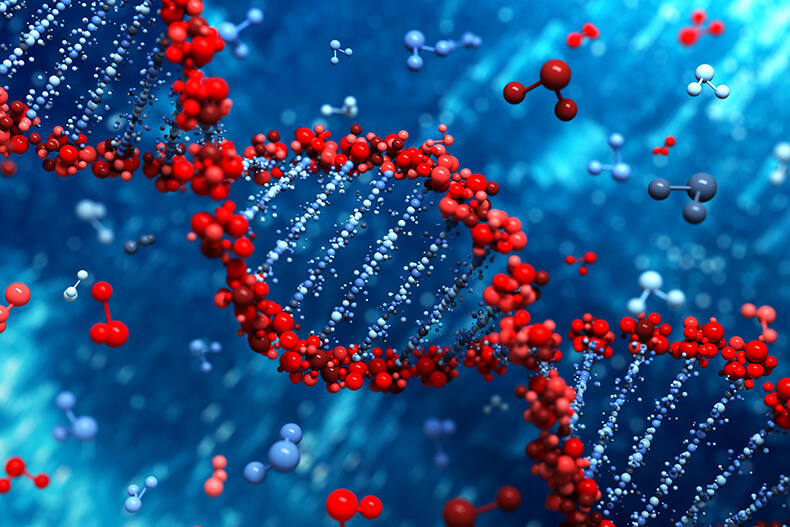 Спираль ДНК — мост от потенциального к проявленному