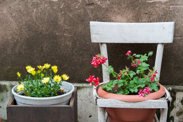  Как устроить сад прямо у себя дома — 18 классных способов