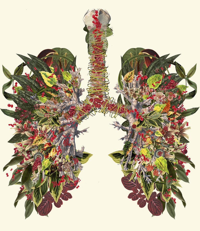 Интересные факты о недыхательных функциях дыхательной системы 