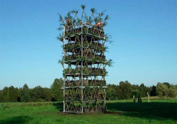 Baubotanik: инновационный способ строительства из живых деревьев