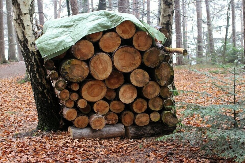 Как правильно хранить дрова на даче 