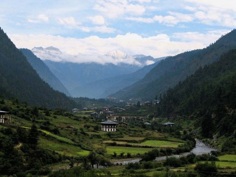 Государство Бутан переходит на органическое сельское хозяйство