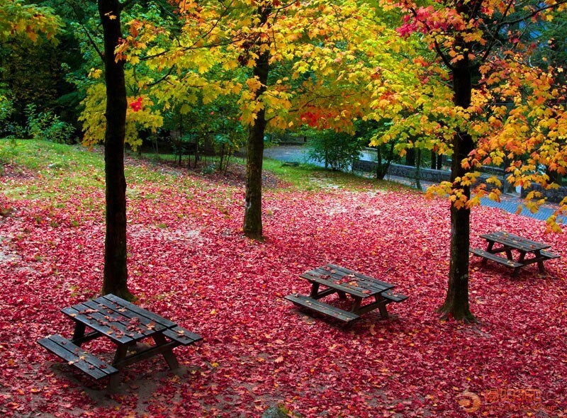 16 мест, где осень особенно прекрасна