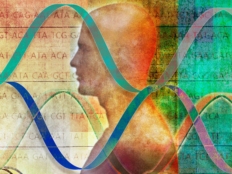 Как генетический код влияет на характер и судьбу