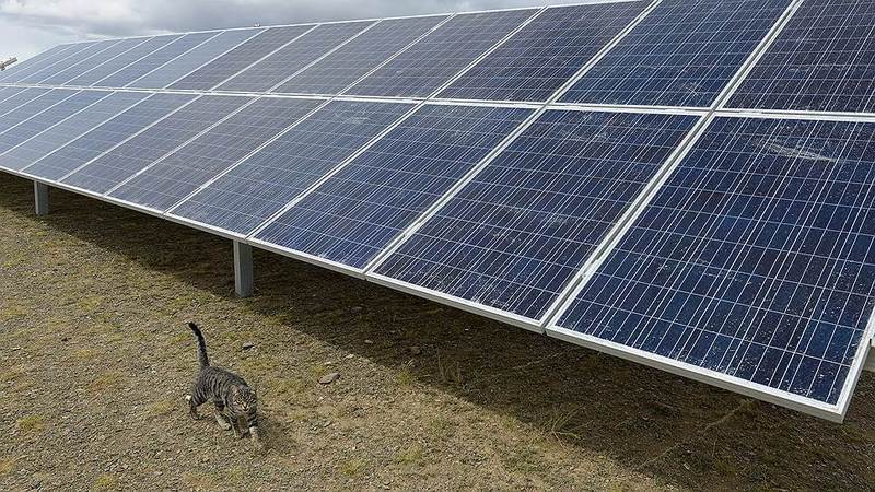 В Челябинской области планируют построить солнечные электростанции