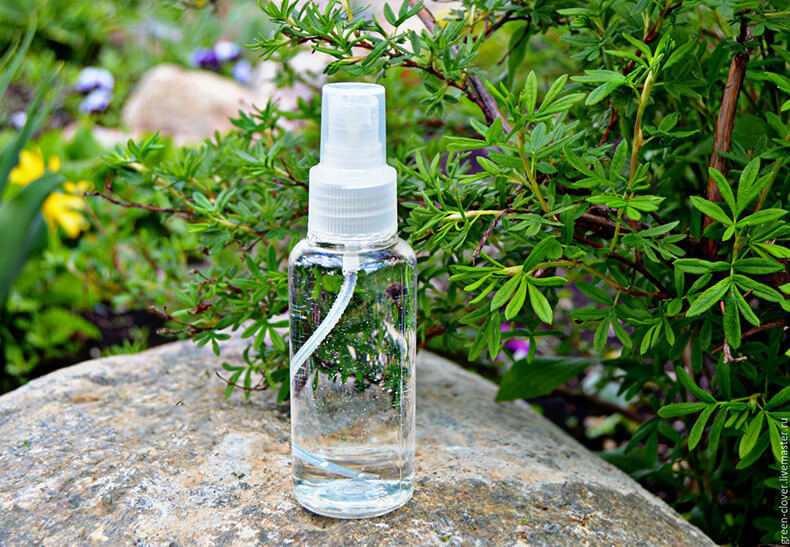 Гидролат розмарина — универсальное натуральное средство для ухода за кожей