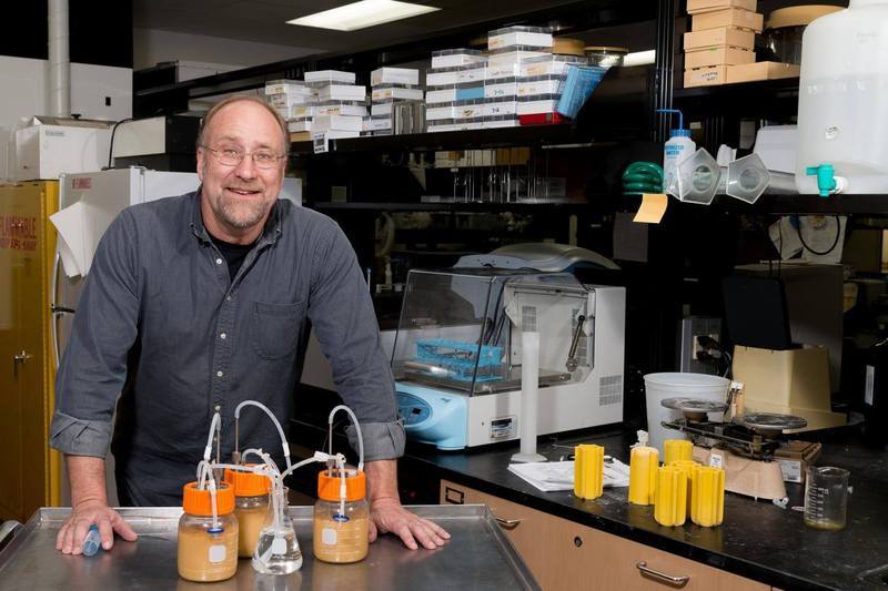 Ученые добывают этанол с помощью бактерии