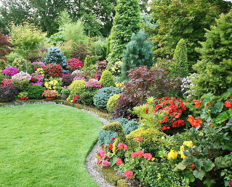 Обзор лучших сортов декоративных кустарников для обустройства сада