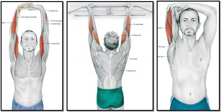 Как правильно растягивать мышцы