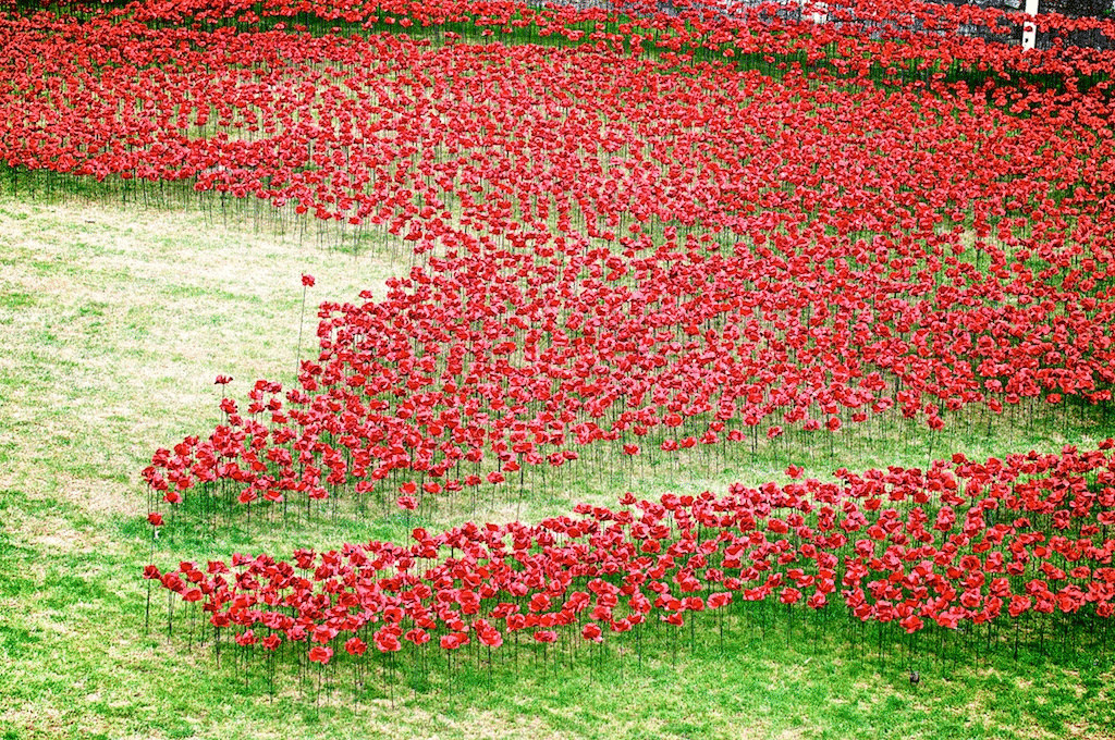 888 тысяч маков в память о событиях Первой мировой войны