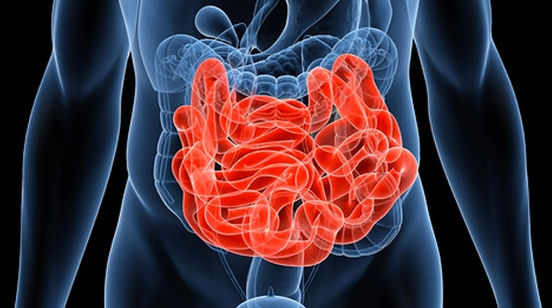 Генеральная уборка тонкого кишечника: 4 эффективных способа