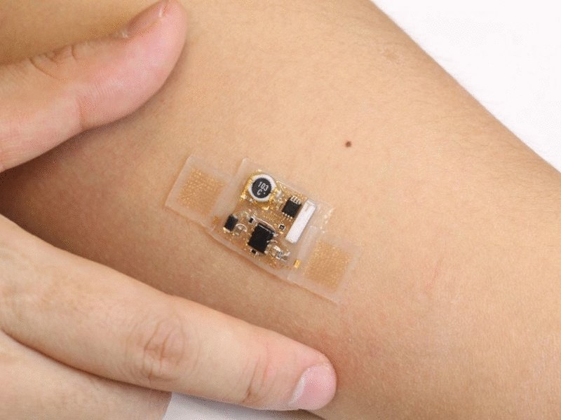 Еда и продукты будущего