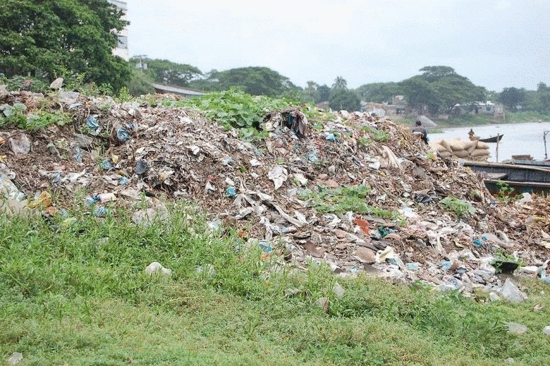 Еда и продукты будущего