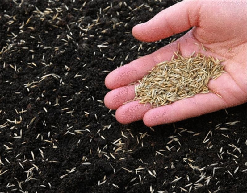 Еда и продукты будущего