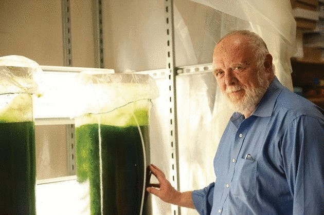 Еда и продукты будущего