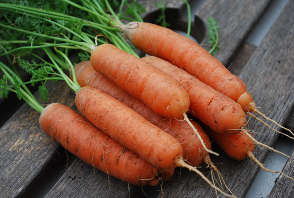 Морковно-ореховый пирог без выпечки и сахара