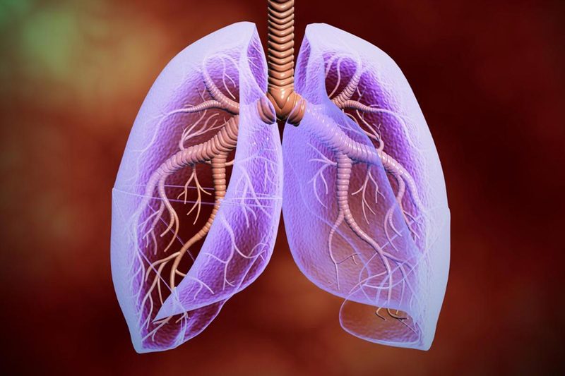 Рэй Пит: Физиология дыхания — ключ к пониманию основных патологий всех органов